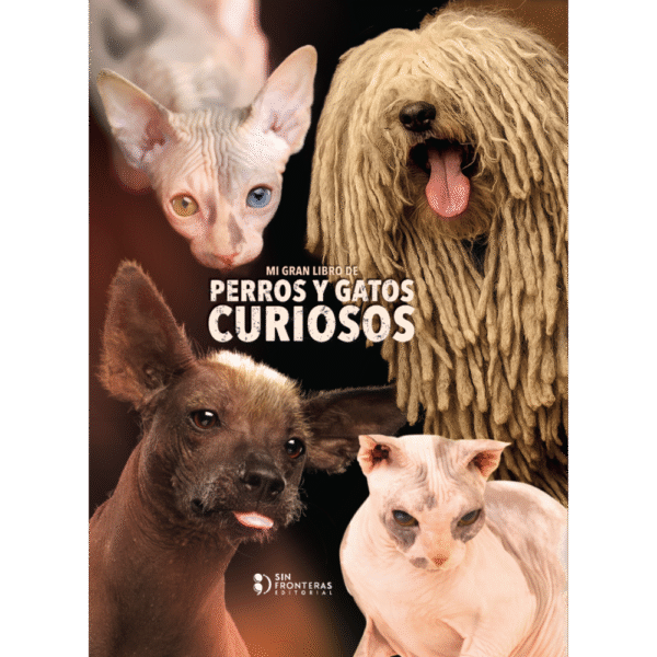 Mi gran libro de perros y gatos curiosos